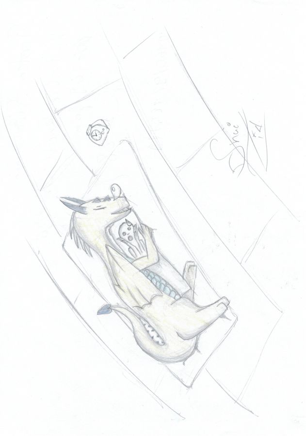 06